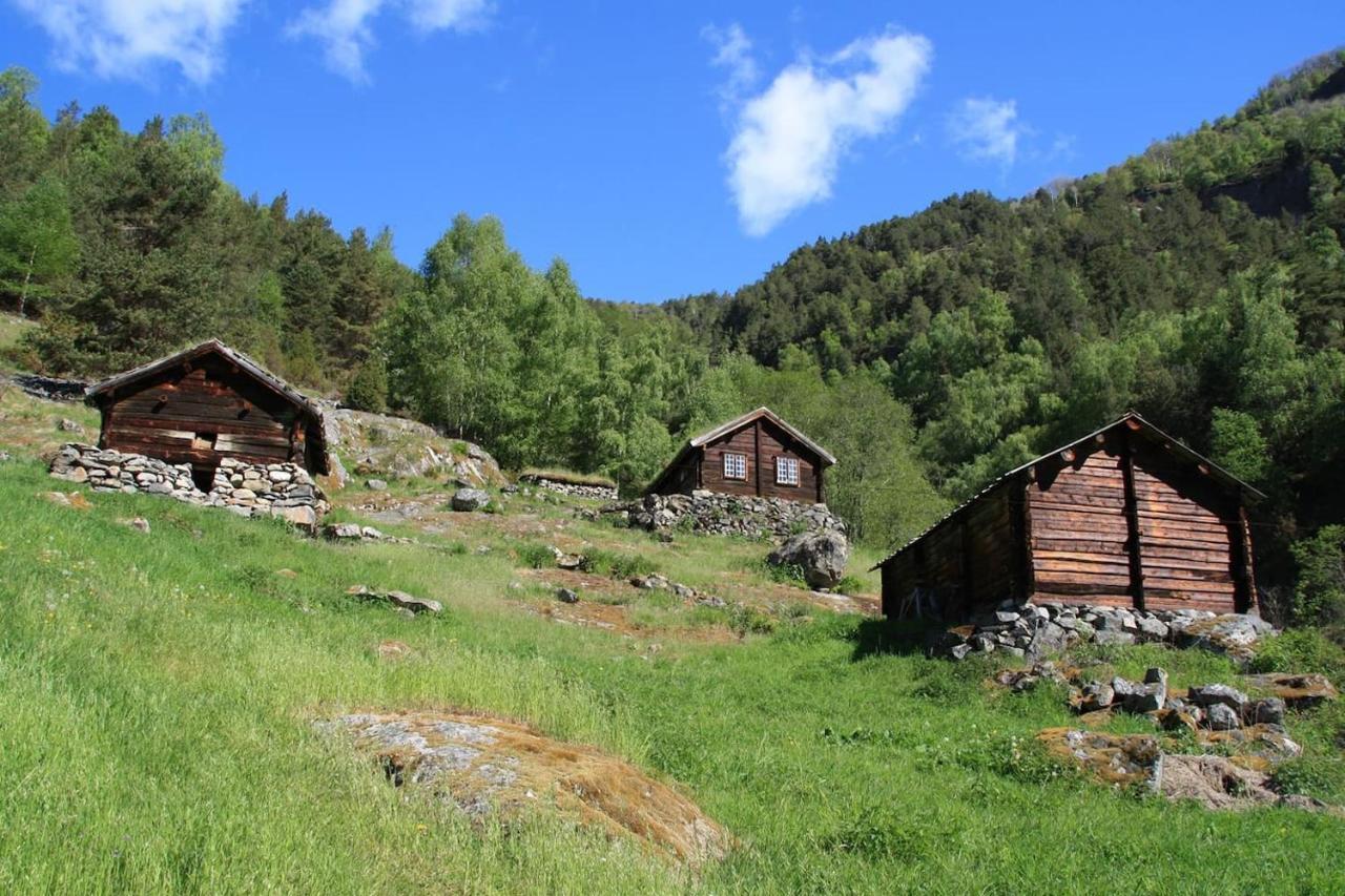 Aobrio Holidayhouse, Authentic Norwegian Farmhouse Close To Flam Лердалсёйри Экстерьер фото